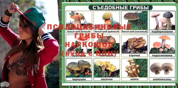 каннабис Магас