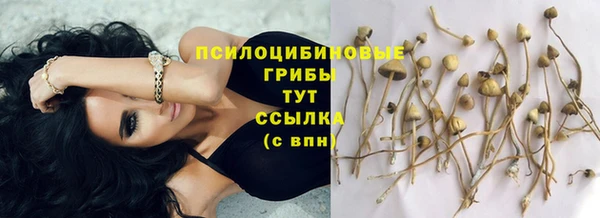 бошки Бугульма