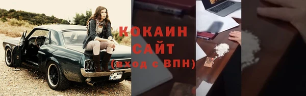 mix Бородино