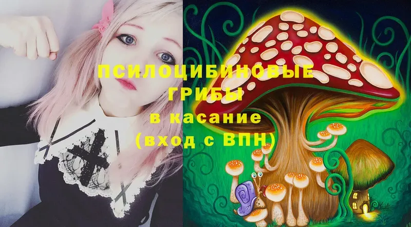 OMG сайт  Весьегонск  Псилоцибиновые грибы Magic Shrooms 